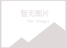 鹤岗兴山转身媒体有限公司